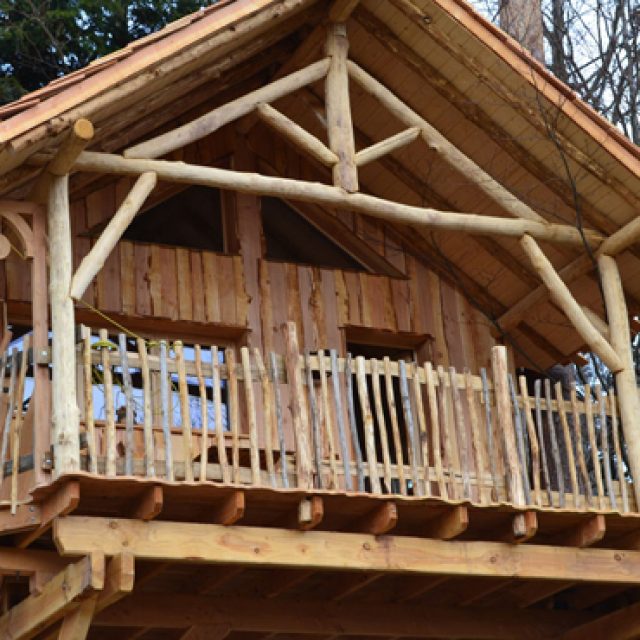 Cabanes perchées dans les arbres
